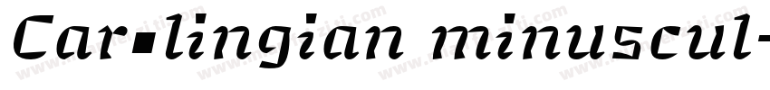 Carolingian minuscul字体转换